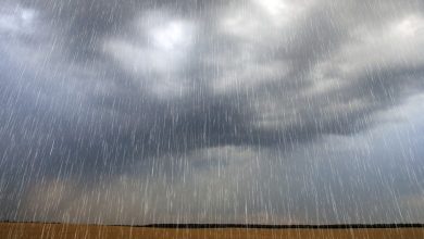 Photo of Muita chuva em todo o Vale do Piancó. Conceição registrou a sua maior chuva do ano