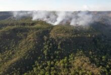 Photo of Brasil bate recorde de queimadas no primeiro semestre de 2024, diz estudo