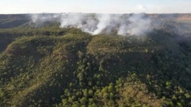 Photo of Brasil bate recorde de queimadas no primeiro semestre de 2024, diz estudo