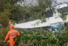 Photo of Avião de pequeno porte faz pouso de emergência no meio da mata em MG