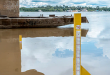 Photo of Especialista alerta para seca severa este ano na Amazônia