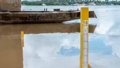 Photo of Especialista alerta para seca severa este ano na Amazônia