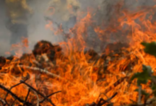 Photo of Brasil é o segundo da América do Sul com mais focos de incêndio em seis meses