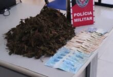 Photo of Polícia apreende meio quilo de maconha e dinheiro no Vale do Piancó