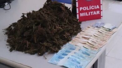Photo of Polícia apreende meio quilo de maconha e dinheiro no Vale do Piancó