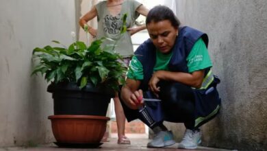 Photo of Em uma semana, Brasil teve mais casos de dengue do que acumulado de 21 países das Américas