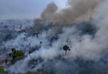 Photo of IPEC: 44% avaliam como ruim ou péssima gestão de Lula no meio ambiente; 27% acham ótima ou boa