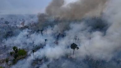 Photo of IPEC: 44% avaliam como ruim ou péssima gestão de Lula no meio ambiente; 27% acham ótima ou boa