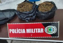 Photo of Polícia encontra mochila com 2kg de maconha dentro de casa em Itaporanga