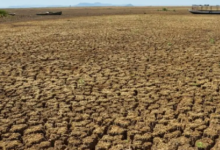 Photo of Nordeste passa por seca-relâmpago