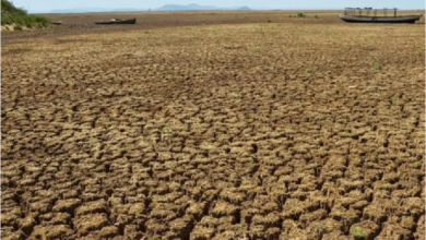 Photo of Nordeste passa por seca-relâmpago