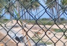 Photo of Comissão no Senado retoma análise da PEC das Praias nesta semana