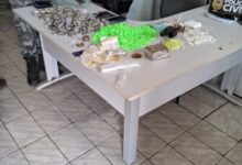 Photo of Policia Militar apreende mais de cem mil reais em drogas em Olho D´Água-PB